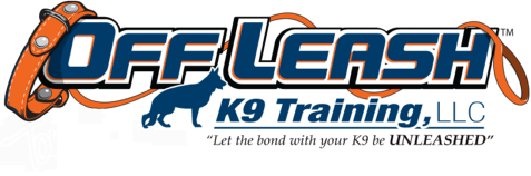 45581360-0-OLK9-Logo.png