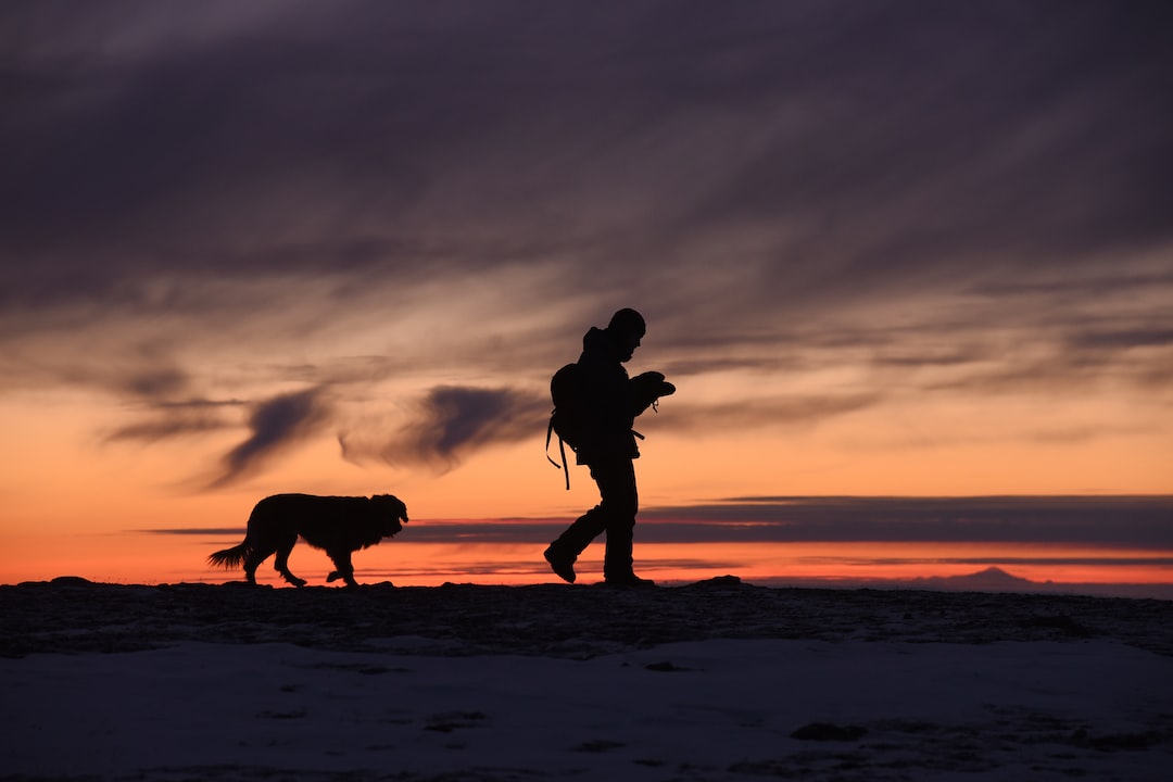 Unleash Your Fitness: Exploring the Health and Adventure Benefits of Adventuring with Your Dog