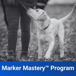 Marker Mastery Program